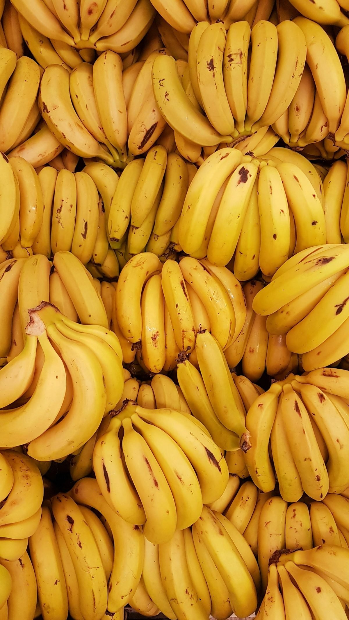 Bunches of ripe bananas