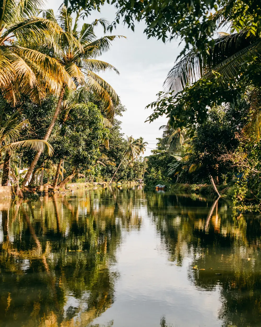 A palm-lined backwater canal in Kerala at golden hour